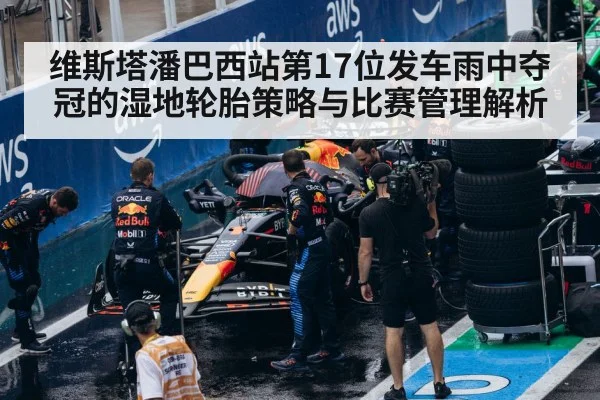 formula 1 pit stop wet tires